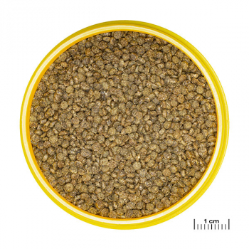 JBL PRONOVO GOURAMI GRANO S 250ml CLICK